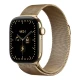 Умные часы Apple Watch Series 12 42mm GPS + Cellular   Radiant Gold Titanium Case Radiant Gold Milan