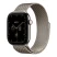 Умные часы Apple Watch Series 12 46mm GPS + Cellular   Natural Titanium Case Natural Milanese Loop M