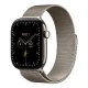 Умные часы Apple Watch Series 12 46mm GPS + Cellular   Natural Titanium Case Natural Milanese Loop M