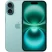 Смартфон Apple iPhone 16 Plus 128Gb Teal (бирюзовый)
